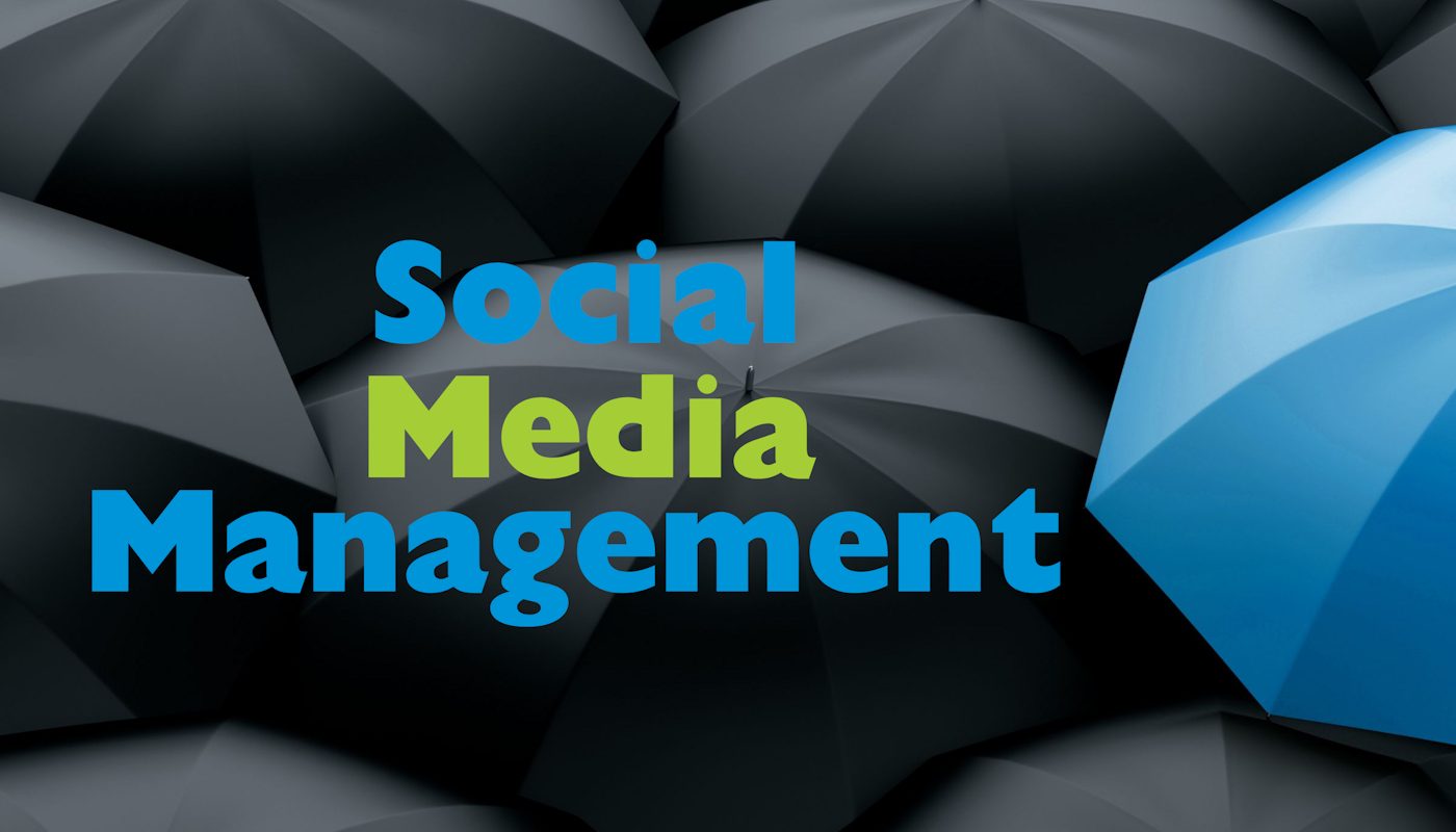 Search Engine Optimization Header - The WebMavens